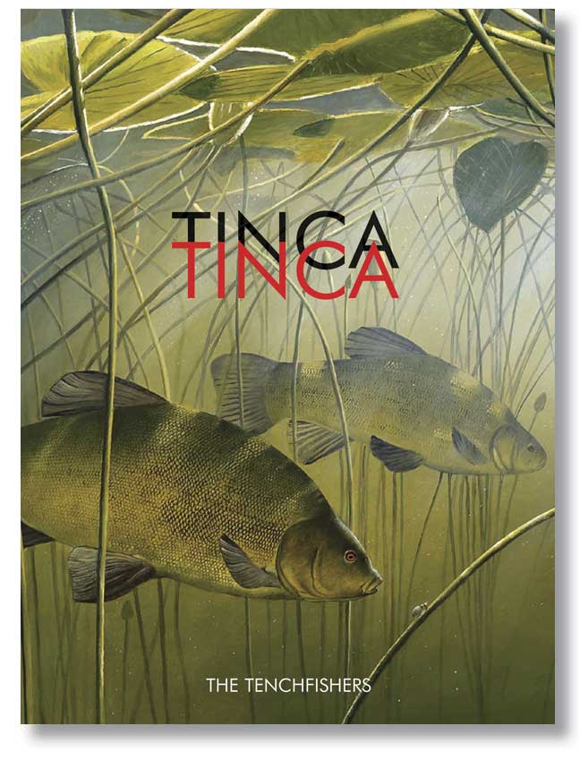 TINCA TINCA