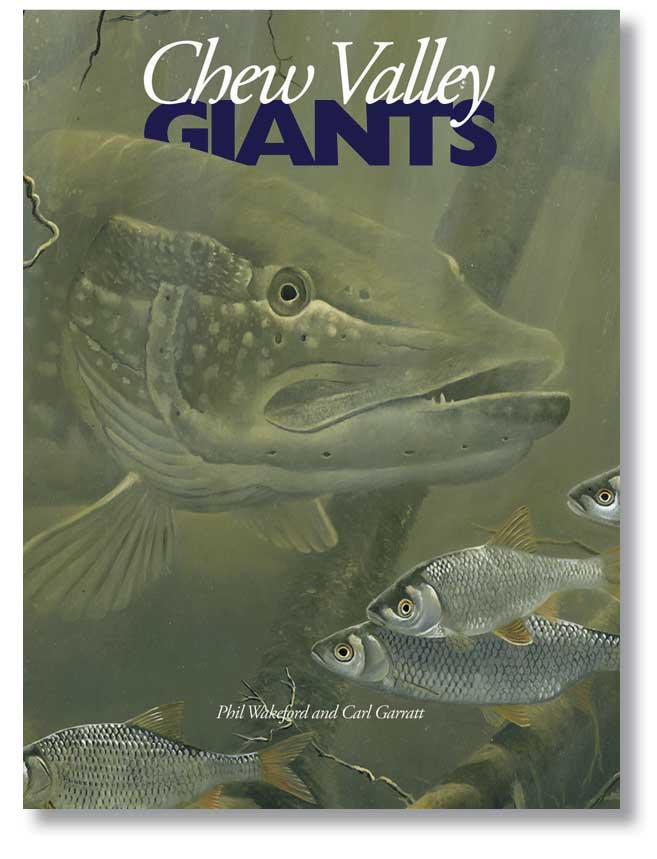 Chew Valley Giants